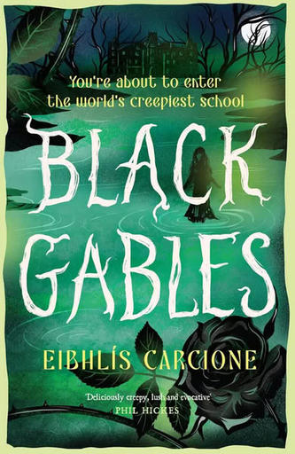 /images/books/eibhlis-carcione_black-gables.jpg