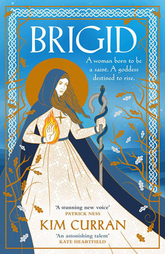 /images/books/kim-curran_brigid.jpg
