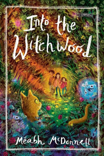 /images/books/meabh-mcdonnell_into-the-witchwood.jpg
