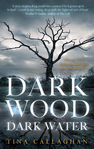 /images/books/tina-callaghan_dark-wood-dark-water.jpg
